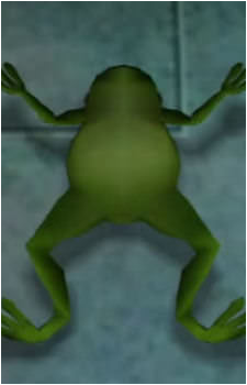 Lord Hoppington