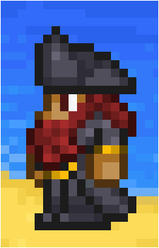 The Pirate's image