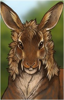 Wenet's image