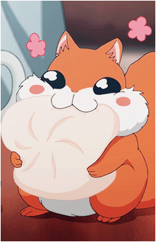 Ao the Squirrel