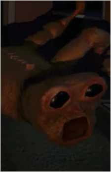 Animal {REPO}'s image