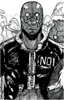 Image 38