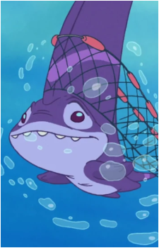 Sinker's image