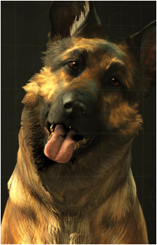 Dogmeat's image