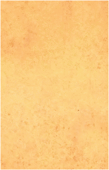 Image 17 Image 17