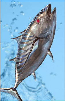 Bonito