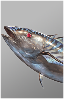 Bonito