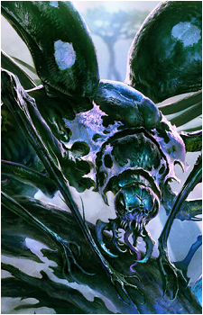 Kathril's image