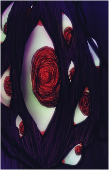 Spider Bud's image