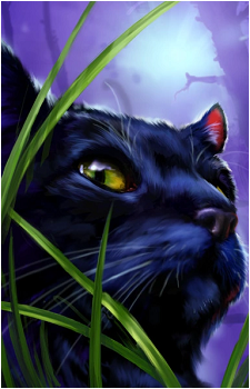Breezepelt's image