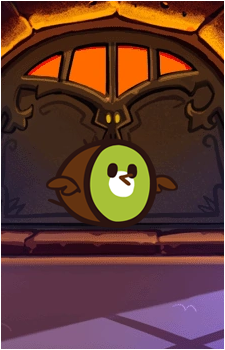 Kiwi Bird