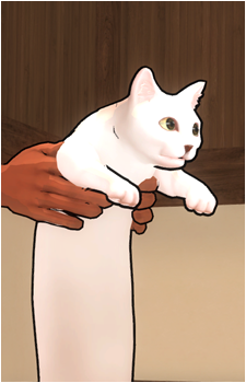 Slender Cat's image