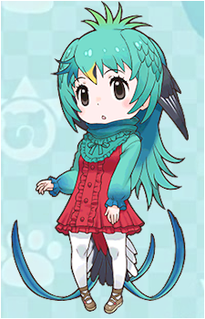 Resplendent Quetzal's image