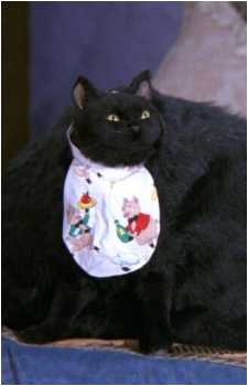Salem Saberhagen