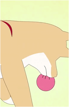 Image 21