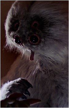 Muftak's image