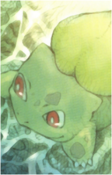Image 31