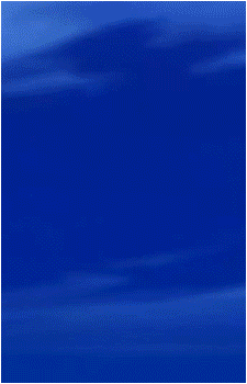 Image 24