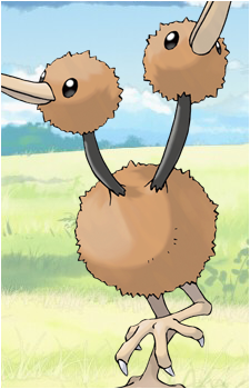 Doduo's image