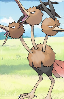 Doduo
