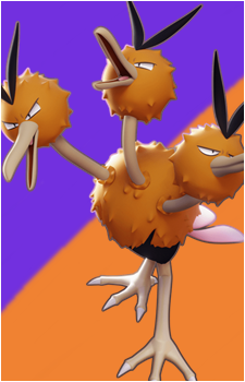 Doduo's image