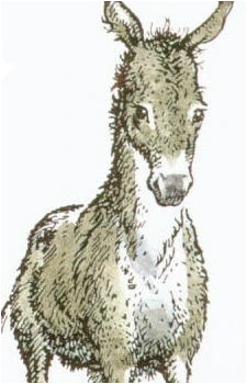 Puzzle's image