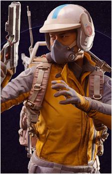 Raider {AR}
