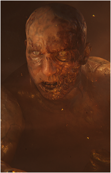 Sjávarrisi's image