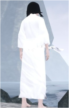 Protagonist {bridg}'s image