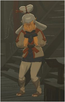 Paya