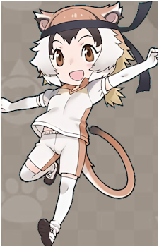 Patas Monkey
