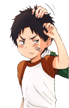 Image 8