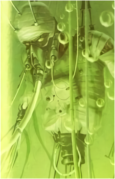 Image 17