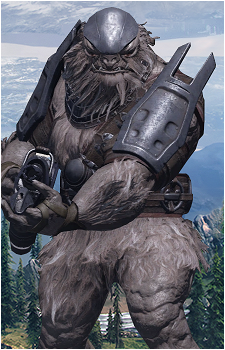 Brute's image