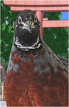 Hitori Uzune's image