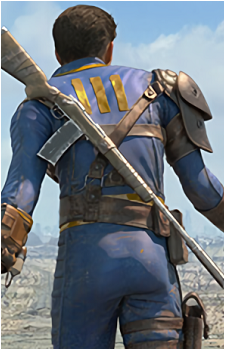 The Sole Survivor's image