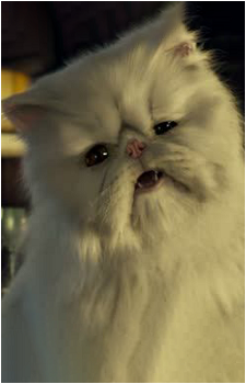 Mr. Tinkles's image