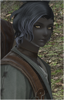 Erenville's image