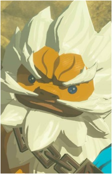 Daruk