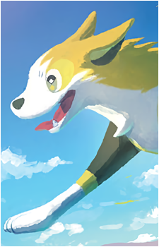 Image 22