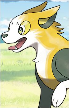 Yamper