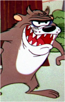 Taz