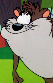 Taz