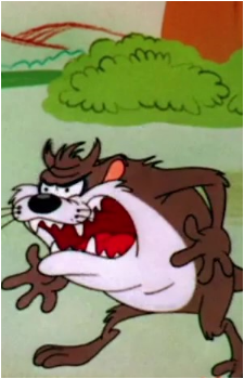 Taz
