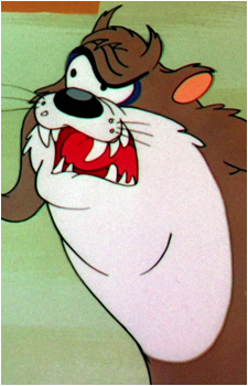 Taz