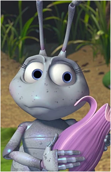 Dr. Flora's image