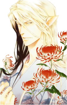 Setsu {ASM}