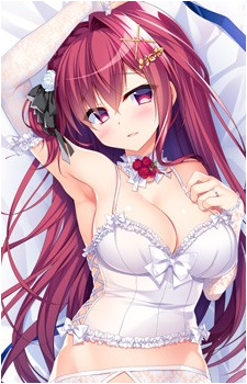 Nio Aritagawa