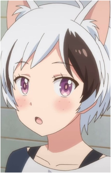 Image 9 Image 9
