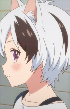 Image 6 Image 6
